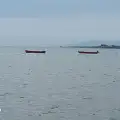 Старец белобради