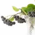 Zelfgemaakte Aronia wijn