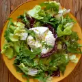 Groene salade met burrata