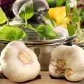 Knoflook