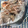 Gegrilde zeebrasem met kruiden