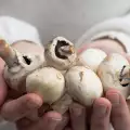 Hoe schil je champignons?