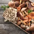 Hoe champignons bewaren?