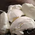 Zelfgemaakte geitenyoghurt