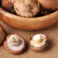 Kunnen champignons worden ingevroren en hoe?