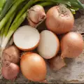 Hoe bewaar je uien en knoflook