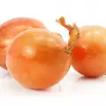 Toepassingen van uienschillen
