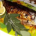 Geroosterde bonito met een honing knoflook marinade