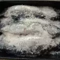 Gezouten Bonito