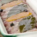 Wat is terrine?