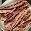 Gegrilde octopus tentakels