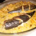 Ovenschotel met makreel, zuurkool en rijst