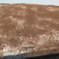 Tiramisu volgens origineel recept