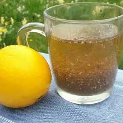 Gel water met chia en citroen voor hydratatie