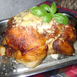 Smakelijke kip met Parmezaanse kaas en witte wijn