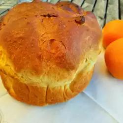 Sinaasappel panettone