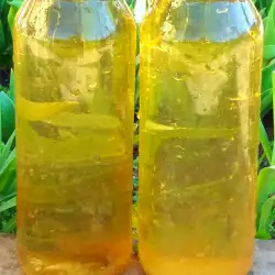 Brandnetel en azijn tonic voor het versterken van de haarwortels