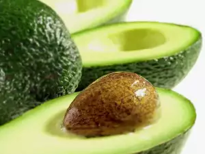 Hoe avocados vers houden?