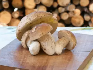 Hoe snij je eekhoorntjesbrood?
