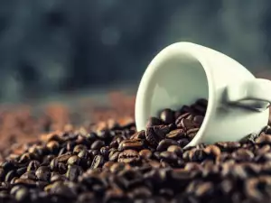 Robusta koffie - wat we moeten weten