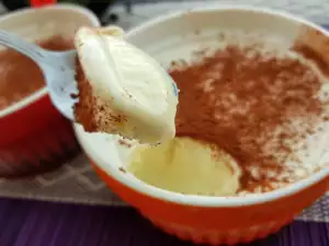 Ijsjes van rijstepap