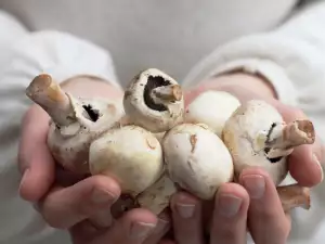 Hoe schil je champignons?