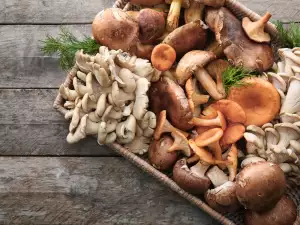 Hoe champignons bewaren?