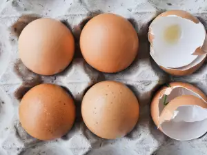 De voordelen van eieren en eierschalen voor onze gezondheid