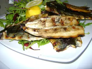 Gegrilde haring met gemengde salade