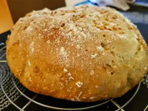 Zuurdesembrood met quinoa