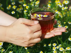 Waarom is het belangrijk om regelmatig kamillethee te drinken?