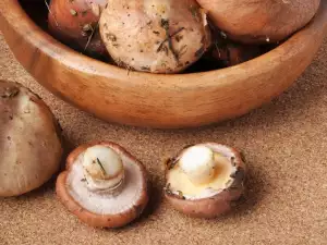 Kunnen champignons worden ingevroren en hoe?