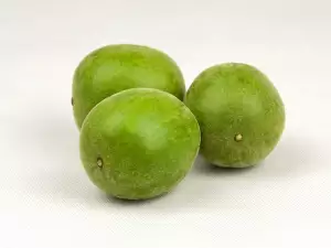Monnik Fruit
