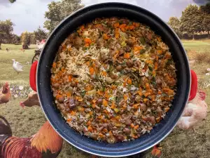 Weidekringzwammen met rijst en tijm