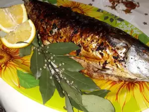 Geroosterde bonito met een honing knoflook marinade