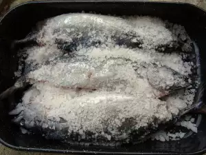 Gezouten Bonito