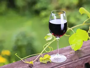 Wat is het verschil tussen Merlot en Cabernet?