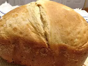 Rustiek brood in een broodmachine