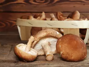 De voordelen van shiitake paddenstoelen