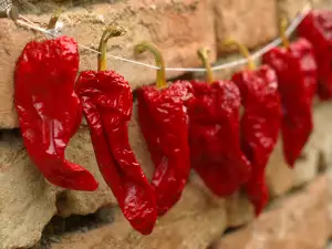 Hoe paprika te drogen voor de winter?