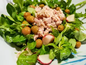 Salade van tonijn, radijs, rucola en valeriaan
