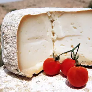 Chevre kaas