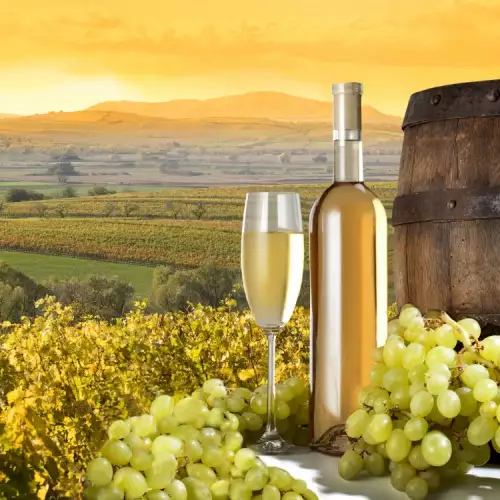 Welk eten en welke gerechten passen bij Pinot Grigio?