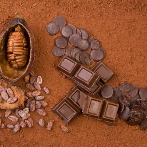 Geschiedenis van chocolade, geschreven door de Azteken