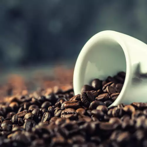 Robusta koffie - wat we moeten weten
