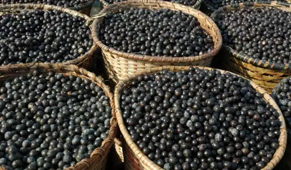Acai bessen