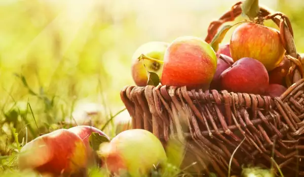 Appels