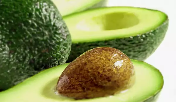 Hoe avocados vers houden?