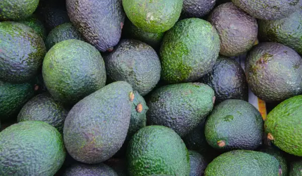 Rijpe avocado