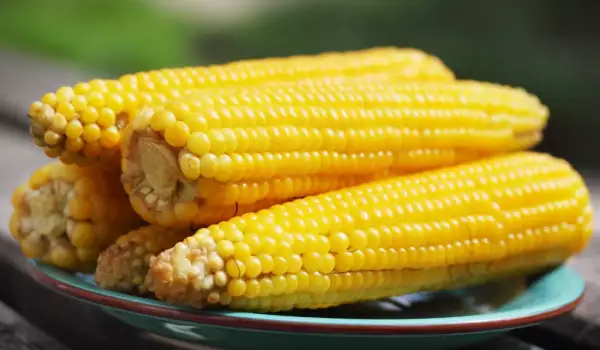 Wat bevat maïs?